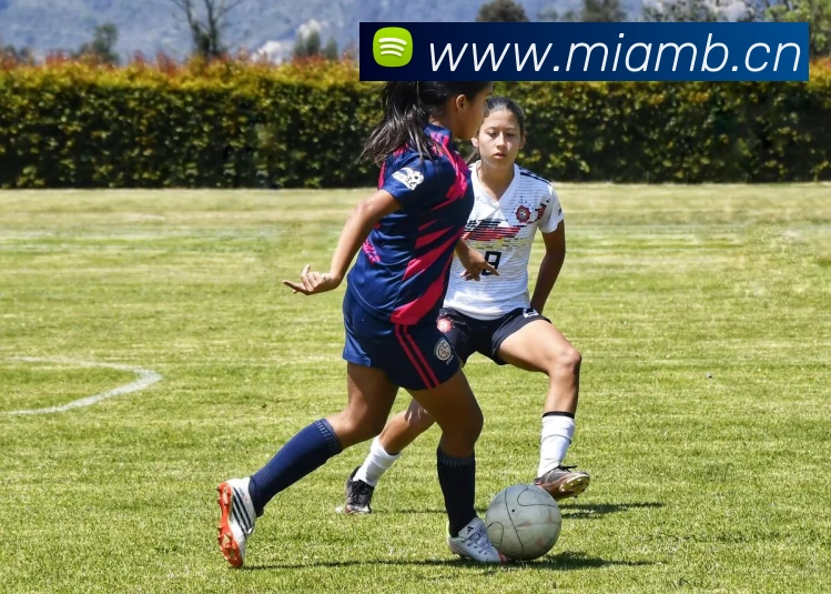 星空官方平台平台生态图